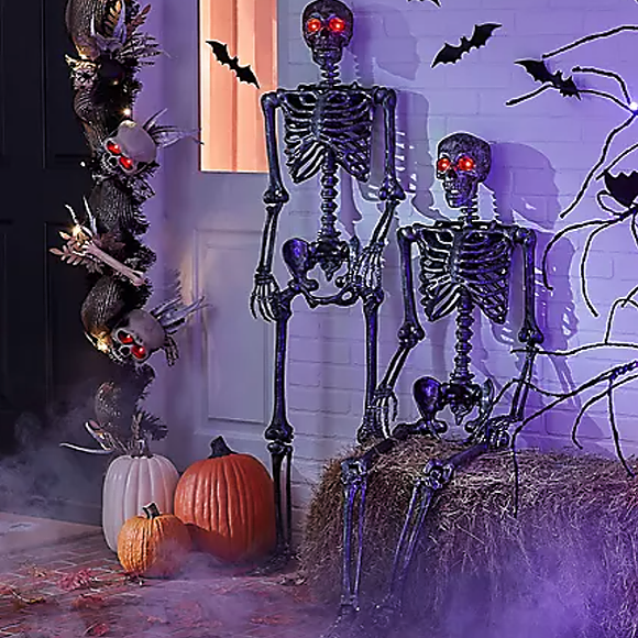The Best Sam’s Club Finds, Deals, Tips & Tricks! Linktree